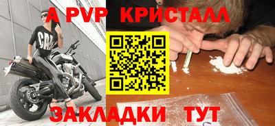 ПСИЛОЦИБИНОВЫЕ ГРИБЫ Тула
