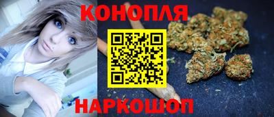 прущие грибы Тулун